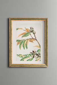 Related product image epiqart Paintings