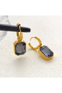 Related product image Choice Steel Earrings