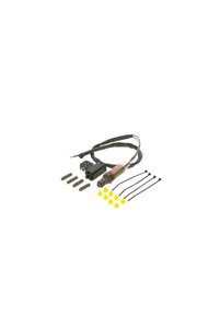 Imaginea produsului asociat Bosch Senzori de temperatură auto