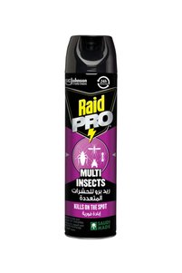 Related product image Raid Insecticide