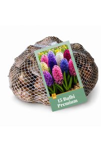 Imaginea produsului asociat Bulbi de flori