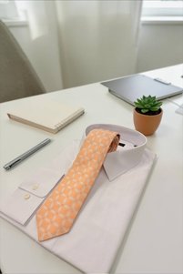 Related product image Sarar Ties