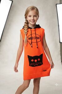 Related product image Hiccup Sweater Vests