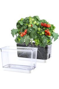 Related product image Generic Flower Pot