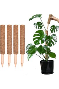 Related product image Generic Greenhouse and Greenhouse Equipment