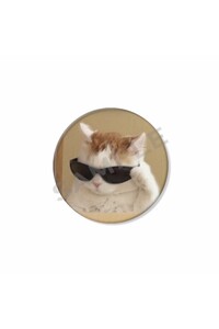 Related product image Choice Brooches