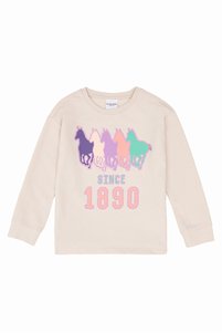 Related product image U.S. Polo Assn. Sweatshirts