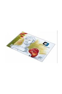 Related product image Schoellershammer Notebooks