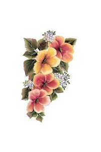Related product image Cadence Artistic Papers & Pens