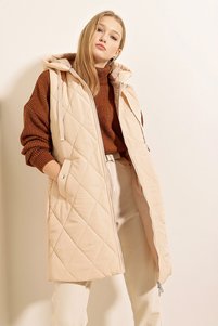 Related product image Bigdart Vests
