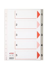 Related product image Bigpoint Folder