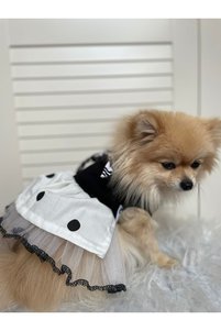 Related product image atelyu Dog Clothes