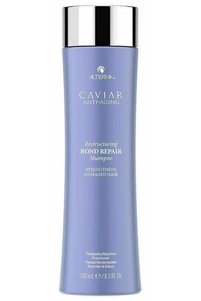 Related product image ALTERNA Shampoos