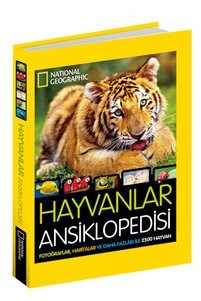 Related product image Beta Kids Children's Storybooks