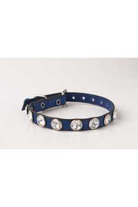 Related product image Privilege Cat Collars