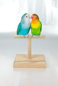 Related product image Alyones Bird Perches