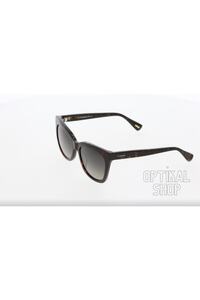 Related product image Osse Sunglasses