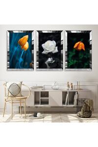 Related product image Zevahir Mobilya Dekorasyon Paintings