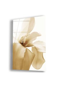 Related product image Zevahir Mobilya Dekorasyon Paintings
