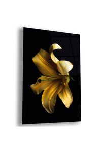 Related product image Zevahir Mobilya Dekorasyon Paintings