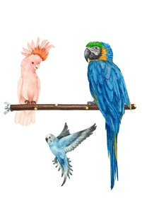 Related product image Alyones Bird Perches