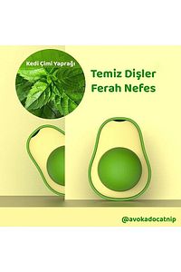 Avokado Catnip Avokado Kedi Çimi Topu Avokado Kedi Nanesi Oyuncağı ürün fotoğrafı