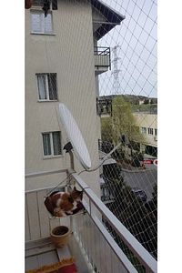 Balkon Filesi 3 X 7 (kuş Filesi, Kedi Filesi, Kuş Ağı, Kuş Önleme Filesi) ürün fotoğrafı