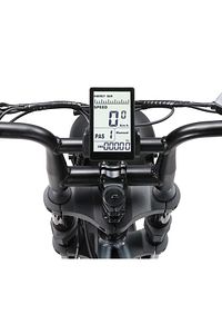 APE RYDER A10 İKİ KİŞİLİK ELEKTRİKLİ BİSİKLET ürün fotoğrafı