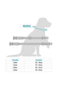2.5cm Köpek Boyun Tasması - Daisy ürün fotoğrafı