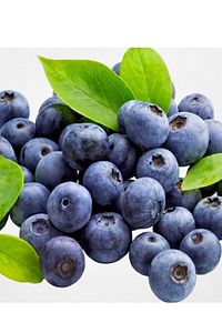 Tüplü Yaban Mersini ( Blue Berry ) Fidanı ürün fotoğrafı