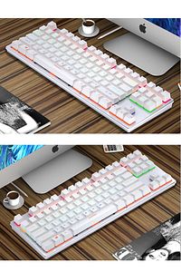 Leaven K550 Usb Rgb Led Kablolu 87 Tuşlu Mekanik Gaming Oyuncu Klavyesi - Beyaz (MAVİ SWİTCH) ürün fotoğrafı