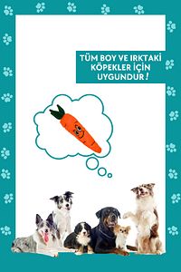 Havuç Şekilli Peluş Köpek Oyuncağı Turuncu Renkli Sesli Köpek Oyuncağı Köpek Uyku Arkadaşı ürün fotoğrafı