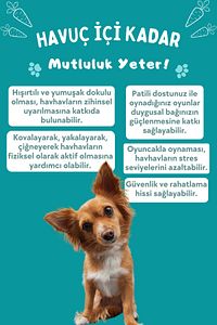 Havuç Şekilli Peluş Köpek Oyuncağı Turuncu Renkli Sesli Köpek Oyuncağı Köpek Uyku Arkadaşı ürün fotoğrafı