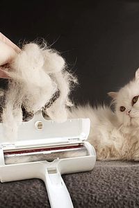 Hazneli Rulo Kedi Köpek Evcil Hayvan Tüy Kıl Temizleyici Aparat Toz Toplayıcı Gırgır ürün fotoğrafı