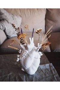 Anatomik Kalp Vazo ürün fotoğrafı