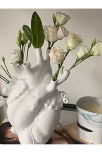 Anatomik Kalp Vazo ürün fotoğrafı