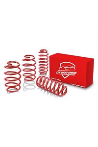 Renault Clio 2 (1998-2004 ) 50 Mm Spor Helezon Yay Spor Springs 4 Lü Set ürün fotoğrafı