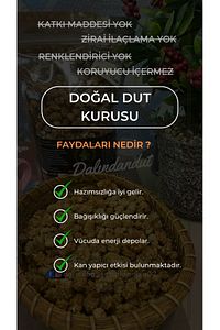 Yeni Mahsül Doğal Kurutulmuş Organik Dut Kurusu (YERLİ) 1kg ürün fotoğrafı