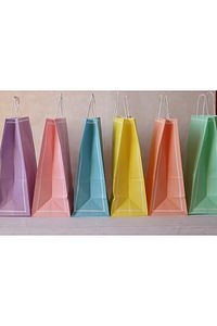 Pelur Poşet Kına Düğün Nişan Kağıt Çanta, 6 Lı Set 25x12x31 Çanta, Büküm Saplı Hediye Poşeti ürün fotoğrafı