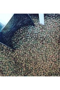 Yeşil Mercimek 3kg [ ( Köy Mahsulu )] ürün fotoğrafı