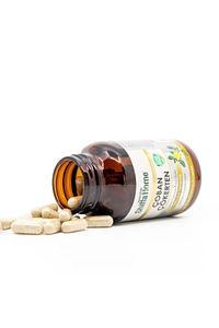 Shiffa Home Çoban Çökerten Tribulus 870 mg 60kapsül ürün fotoğrafı