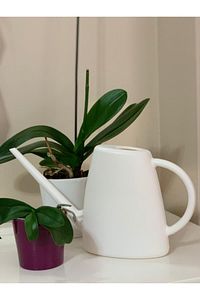 Sulak Çiçek Sulama Kabı 1,7 Litre Beyaz Renk ürün fotoğrafı