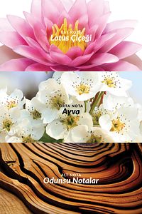 Incandessence Lotus Kadın Parfüm Edp 50 Ml. ürün fotoğrafı