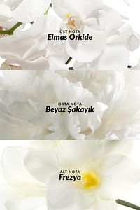 Incandessence Kadın Vücut Spreyi 100 Ml. ürün fotoğrafı