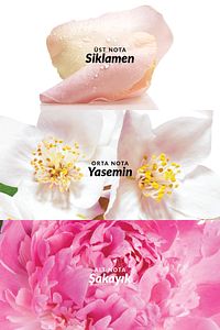 Celebre Kadın Vücut Spreyi 100 Ml. ürün fotoğrafı