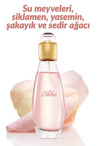 Celebre Kadın Parfüm Edt 50 Ml. ürün fotoğrafı
