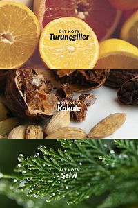 Full Speed 75 Ml. Erkek Parfüm ürün fotoğrafı