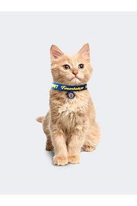 FB DIJIPETS AKıLLı TASMA NFC QR  LACİ ürün fotoğrafı