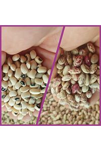Börülce 2 Kg, Barbunya 2 Kg Net 4 Kg ürün fotoğrafı