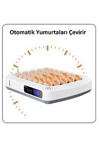 35li Tam Otomatik Kuluçka Makinesi Silindir Viyol Tavuk Kaz Ördek Bıldırcın İçin Uygun ürün fotoğrafı